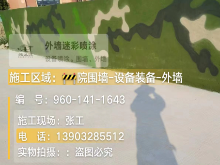 昌邑 迷彩漆喷涂价格（按平方米计费）